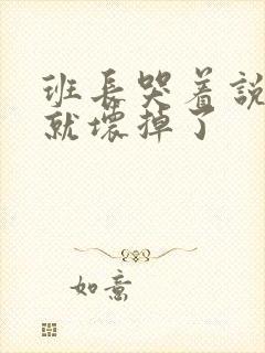 班长哭着说再c就坏掉了封面