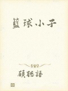 篮球小子封面
