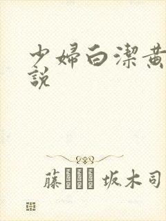 少妇白洁黄色小说