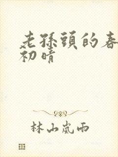 老孙头的春天林初晴封面