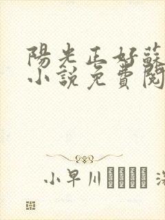 阳光正好苏玥玥小说免费阅读无弹窗