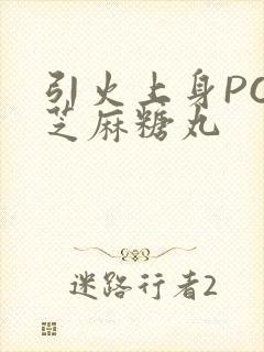 引火上身POP芝麻糖丸