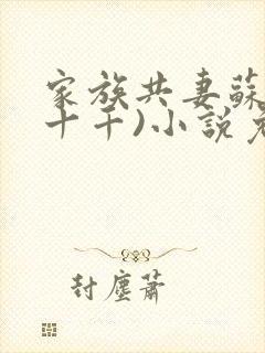 家族共妻苏苏(十千)小说免费