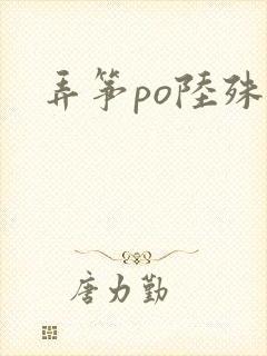 弄筝po陆殊词封面