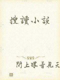 搜读小说