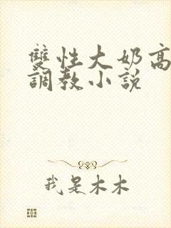 双性大奶高嗨黄调教小说