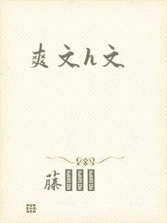 爽文h文
