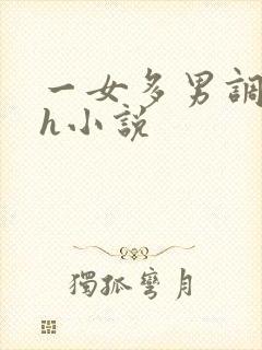 一女多男调教高h小说