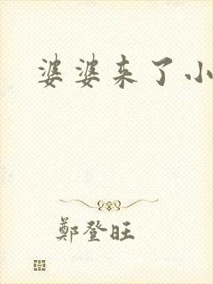 婆婆来了小说封面