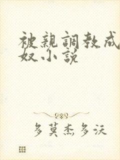 被亲调教成她的奴小说