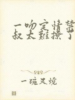 一吻定情禁欲小叔太难撩了