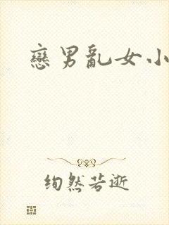恋男乱女小说