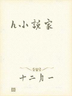 h小说家