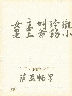 女主叫玲珑男主是王爷的小说