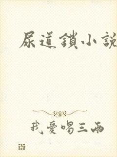 尿道锁小说封面