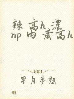 辣 高h 浓 np 肉 黄高h