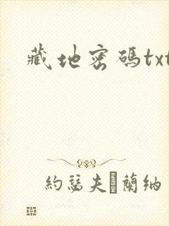 藏地密码txt封面