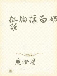 抓胸揉白奶头小说