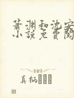 萧渊和沈安安的小说免费阅读封面