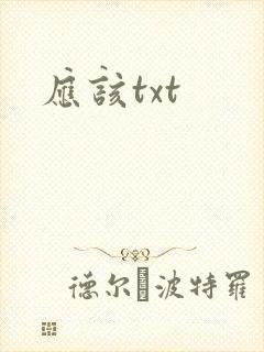 应该txt