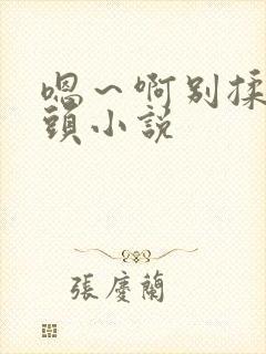 嗯～啊别揉我奶头小说