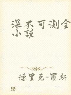 深不可测金银花小说封面