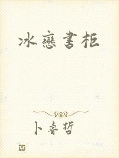 冰恋书柜封面