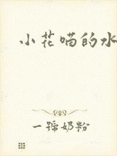 小花喵的水蜜桃