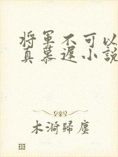将军不可以魏云真慕迟小说笔趣阁封面