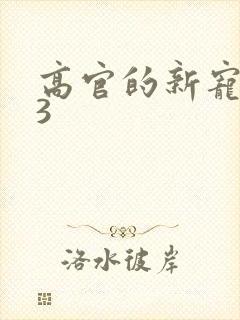 高官的新宠1V3封面