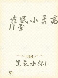 催眠小柔高达第11章