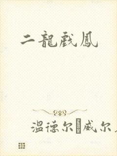 二龙戏凤