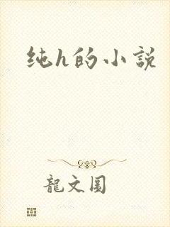 纯h的小说