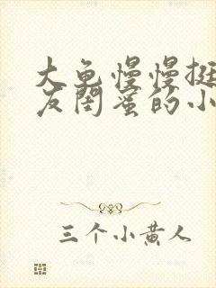 大龟慢慢挺进女友闺蜜的小说封面