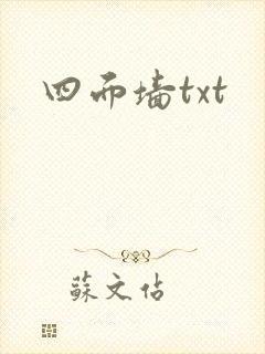 四面墙txt