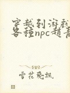 穿越到游戏里和各种npc赵青蔓封面