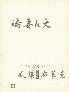 娇妻h文