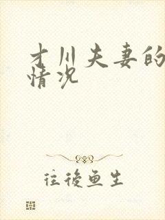 才川夫妻的恋爱情况