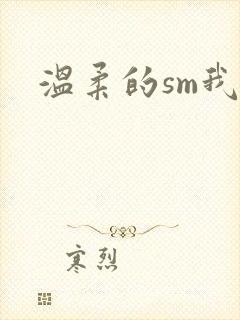 温柔的sm我封面
