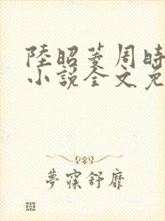 陆昭菱周时阅的小说全文免费阅读封面