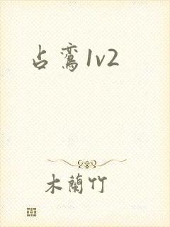 占鸾1v2