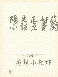 阳光正好苏玥玥小说免费阅读