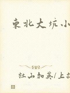 东北大坑小说封面