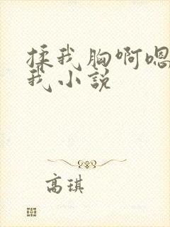 揉我胸啊嗯～c我小说