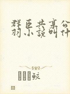 群臣共享公主银羽小说叫什么封面