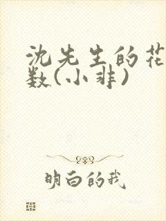 沈先生的花式调数(小非)封面