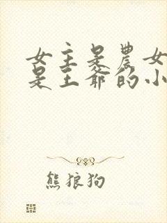 女主是农女男主是王爷的小说封面