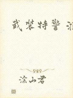 武装特警 淮上封面