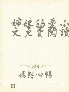 婶娘的爱小说全文免费阅读