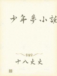 少年梦小说封面